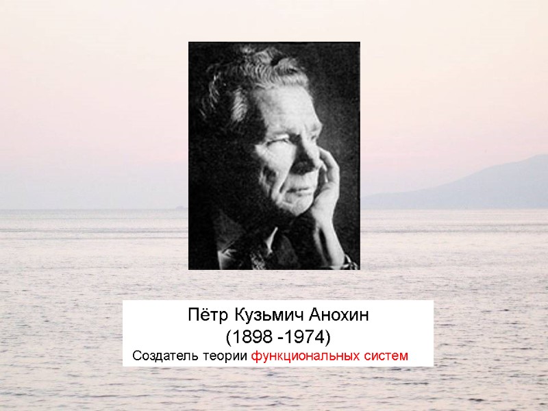 Пётр Кузьмич Анохин (1898 -1974)   Создатель теории функциональных систем